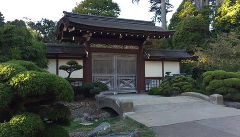 日本藝術(shù)類語言學(xué)校