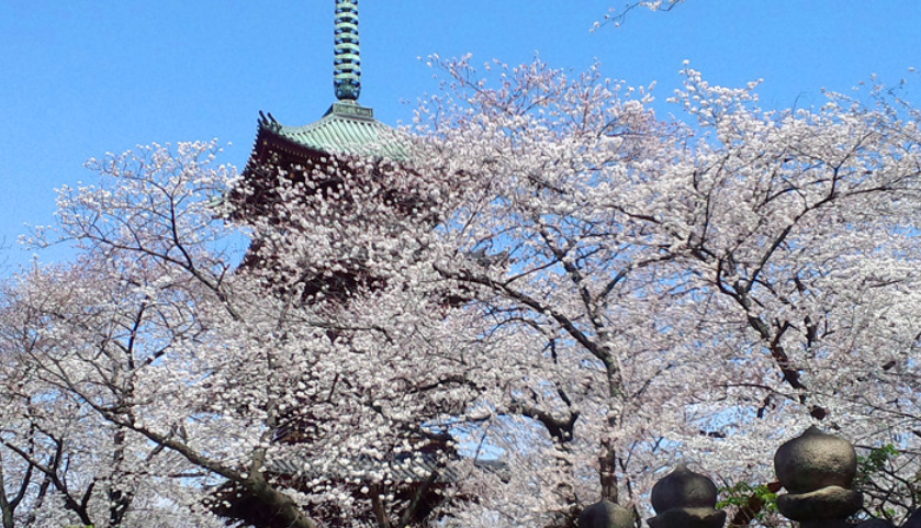 日本語言學(xué)校