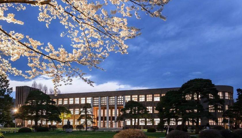 東洋言語(yǔ)學(xué)院