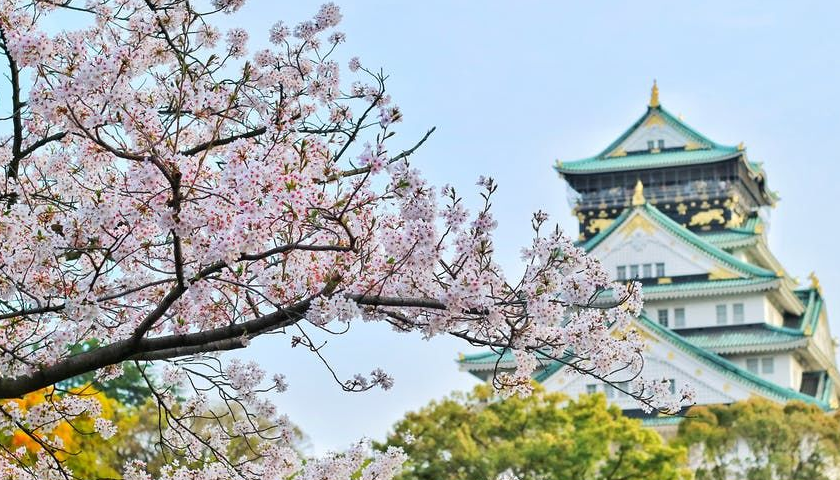 日本語(yǔ)言學(xué)校