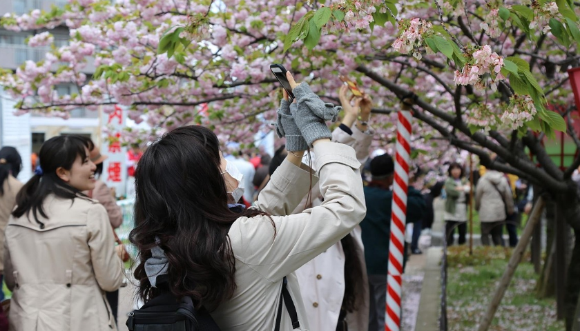日本語言學(xué)校