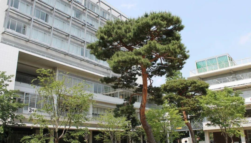 日本藝術(shù)類大學(xué)